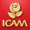 Icam