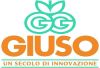 Giuso